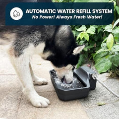 1 Gallon Dog Water Bowl for Outdoor