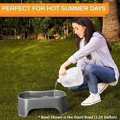 1.25 Gallon Capacity, 160 oz Extra Large Water Bowl for Dogs