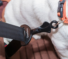 Pet Car Safety Buckle Holder