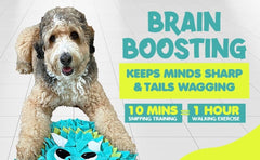 18” Dragon Dog Sniffing Mat Easy to Clean Fleece Snuffle Mat for Dogs