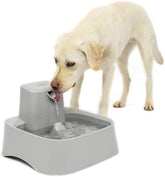 2 Gallon/256 oz Pet Water Bowl Dispenser Adjustable Flow Control