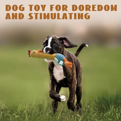 2 in 1 Chicken Dog Toy with Large Rubber Squeaker