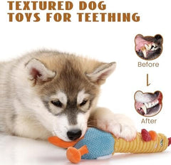 2 in 1 Chicken Dog Toy with Large Rubber Squeaker