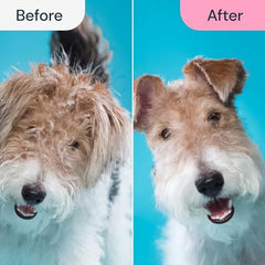 2 in 1 Deshedding Tool and Undercoat Rake for Long and Short Haired Dogs with Double Coat