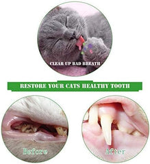 2 Pack Cat Toothbrush Catnip Toy
