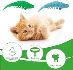 2 Pack Cat Toothbrush Catnip Toy