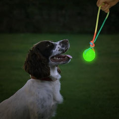 2 Pcs Dog Training Ball on Rope Glow in The Dark Ball