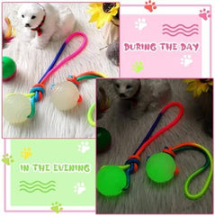 2 Pcs Dog Training Ball on Rope Glow in The Dark Ball