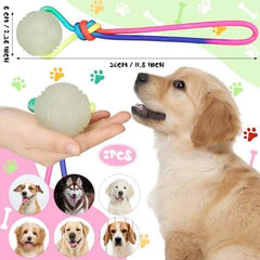 2 Pcs Dog Training Ball on Rope Glow in The Dark Ball