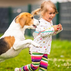 2 Pcs Dog Training Ball on Rope Glow in The Dark Ball