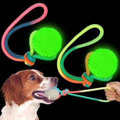 2 Pcs Dog Training Ball on Rope Glow in The Dark Ball