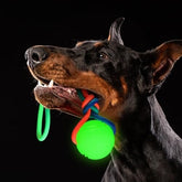 2 Pcs Dog Training Ball on Rope Glow in The Dark Ball