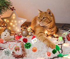 20pc Cat Toys Variety Pack for Indoor Cats