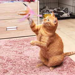 2Pcs Cat Collar Toy Adjustable Cat Feather Neck Collar Toy