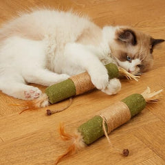 2PCS Extra Large Catnip Chew Toy