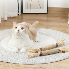 2PCS Extra Large Catnip Chew Toy
