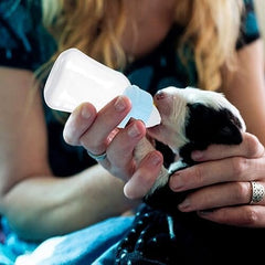 2pcs Kitten Milk Bottle Kit 120ml Puppy Feeding Bottle for Puppies Kitten