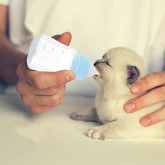 2pcs Kitten Milk Bottle Kit 120ml Puppy Feeding Bottle for Puppies Kitten