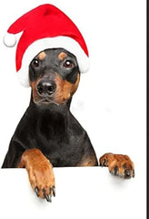 2Pcs Mini Dog Santa Hat for Dog