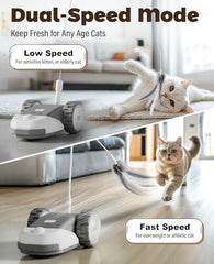 3-in-1 Interactive Cat Toy - 2-Speed Automatic Moving Mouse Cat Toys