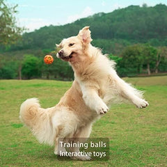 3-Pack Interactive Light up Balls Rubber Durable Fetch Training Balls