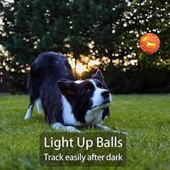 3-Pack Interactive Light up Balls Rubber Durable Fetch Training Balls