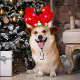 3 Pieces Light up Pet Christmas Headbands LED