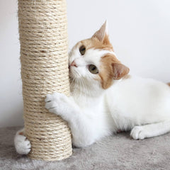 3 Scratching Posts Scratching Deterrent Tree for Indoor Cats