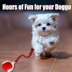 360° Smart Automatic Rolling Pet Ball