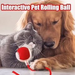 360° Smart Automatic Rolling Pet Ball
