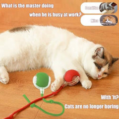 360° Smart Automatic Rolling Pet Ball