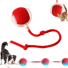 360° Smart Automatic Rolling Pet Ball