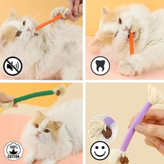3Pack Silvervine Chew Stick Kitten Treat Catnip Toy