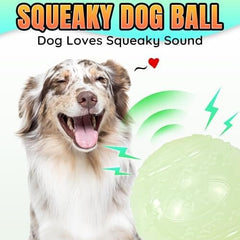 4-Pack Bouncy Glow in The Dark Dog Ball with Squeaker