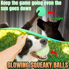 4-Pack Bouncy Glow in The Dark Dog Ball with Squeaker
