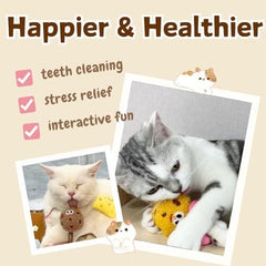 4 Pack Catnip & Silvervine Lollipops