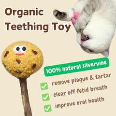 4 Pack Catnip & Silvervine Lollipops