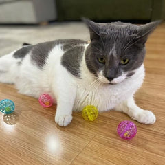 4 pcs Colorful Toys to Entertain Indoor Cats and Kittens