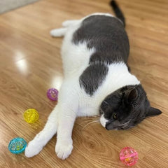 4 pcs Colorful Toys to Entertain Indoor Cats and Kittens