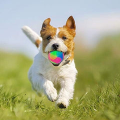 4 pcs Light Up Dog Balls Interactive Pet Toys
