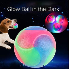 4 pcs Light Up Dog Balls Interactive Pet Toys