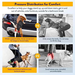 Adjustable Sling Support for Large Dogs Hind Legs, Mobility Aid for Elderly Dogs