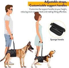 Adjustable Sling Support for Large Dogs Hind Legs, Mobility Aid for Elderly Dogs