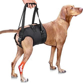 Adjustable Sling Support for Large Dogs Hind Legs, Mobility Aid for Elderly Dogs