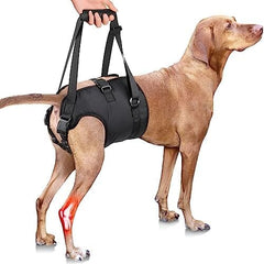 Adjustable Sling Support for Large Dogs Hind Legs, Mobility Aid for Elderly Dogs