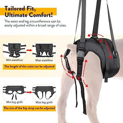 Adjustable Sling Support for Large Dogs Hind Legs, Mobility Aid for Elderly Dogs