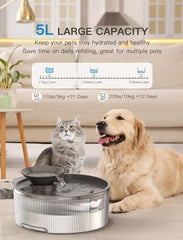 Big Dog Water Bowl Dispenser for Multi-Pets Family (Clear+4Filters+4Sponges)