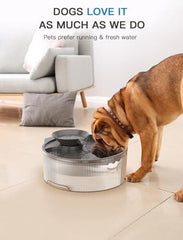 Big Dog Water Bowl Dispenser for Multi-Pets Family (Clear+4Filters+4Sponges)