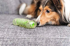 Bone Water Bottle Alternative Dog Chew Toy