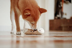 Cannoli Squeaky Dog Plush Toy